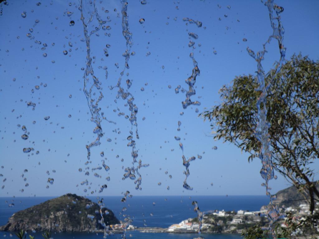 Hotel Villa Al Mare Barano dʼIschia Exteriér fotografie