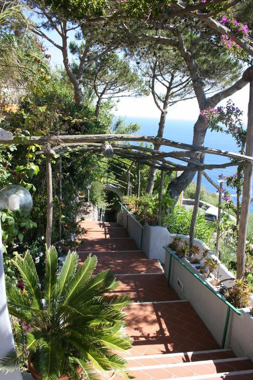 Hotel Villa Al Mare Barano dʼIschia Exteriér fotografie